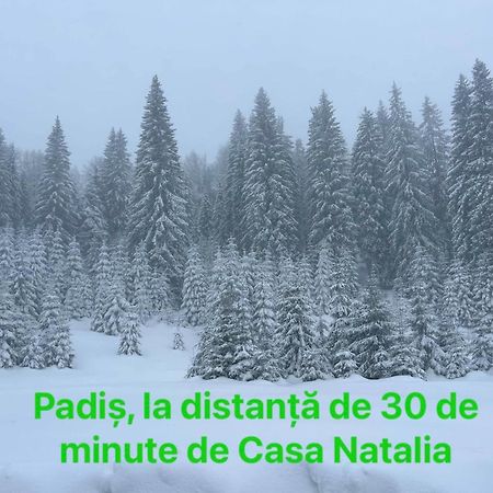 Готель Casa Natalia Chiscau Екстер'єр фото